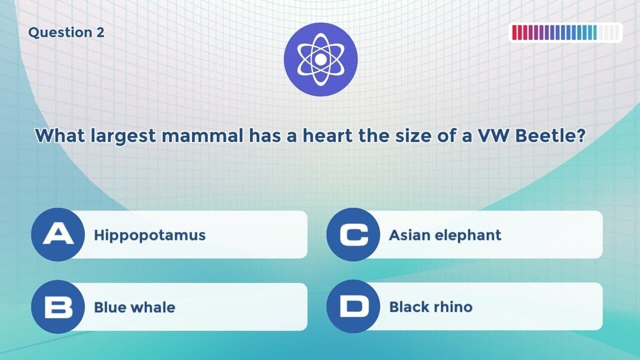 Knowledge Trainer: Trivia thumbnail 4