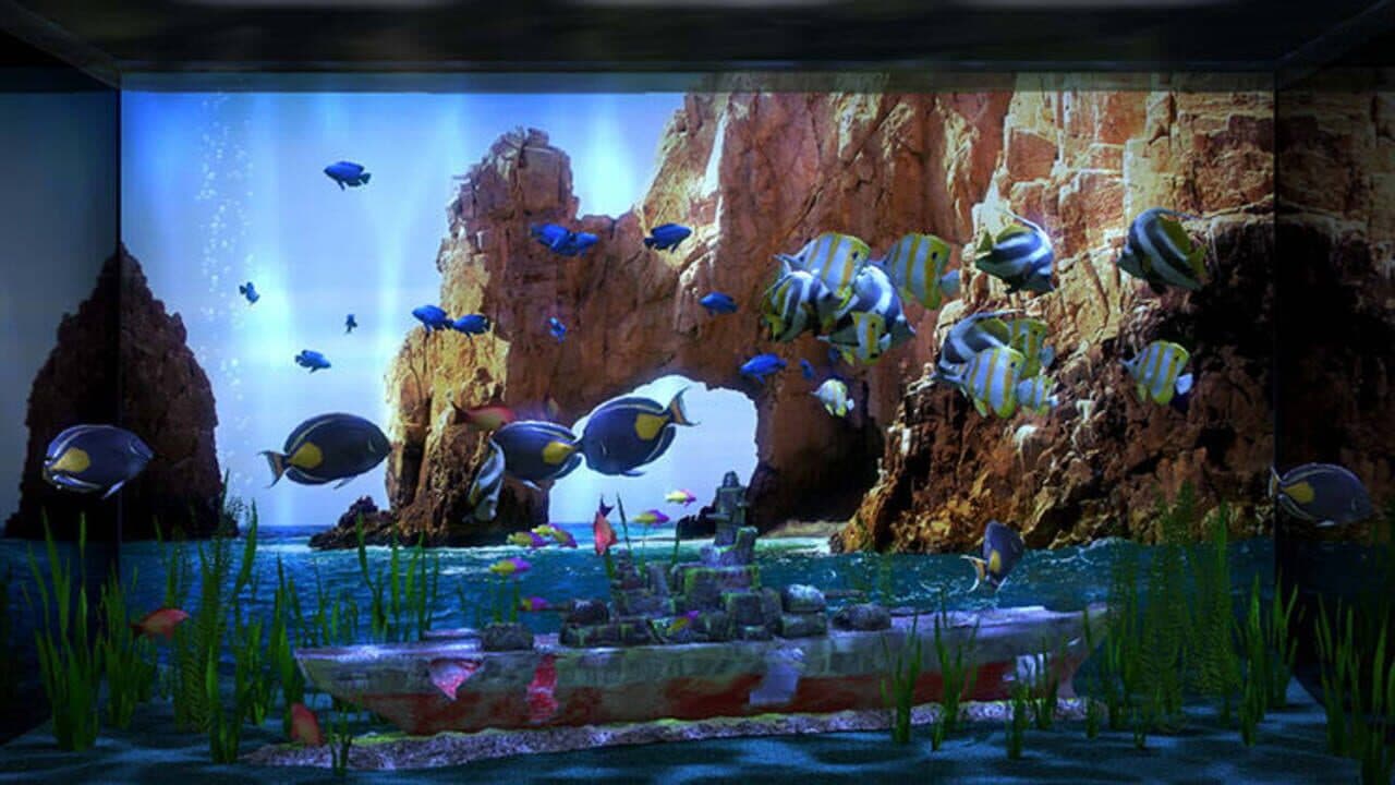 Aqua TV thumbnail 4