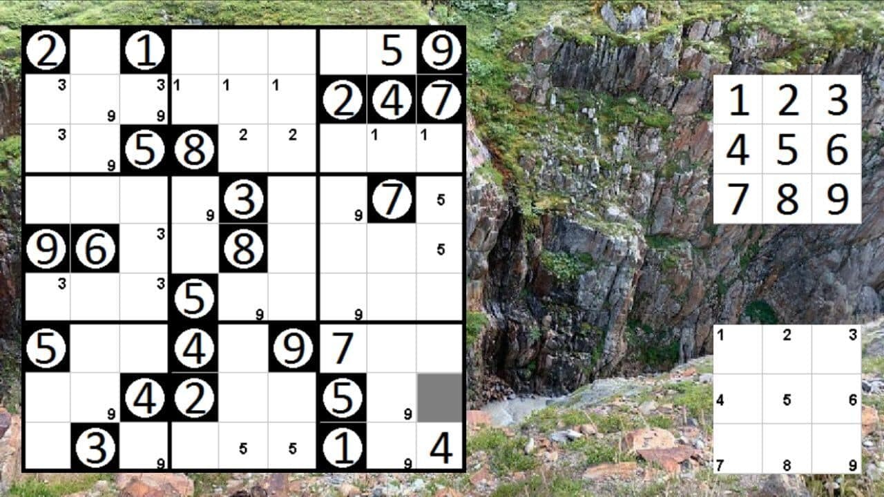 Logic Puzzle Collection: Sudoku, Permudoku, Nonodoku thumbnail 3