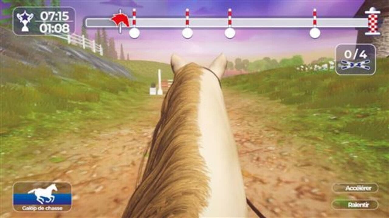 Réussir: Galops 1 à 7 thumbnail 3