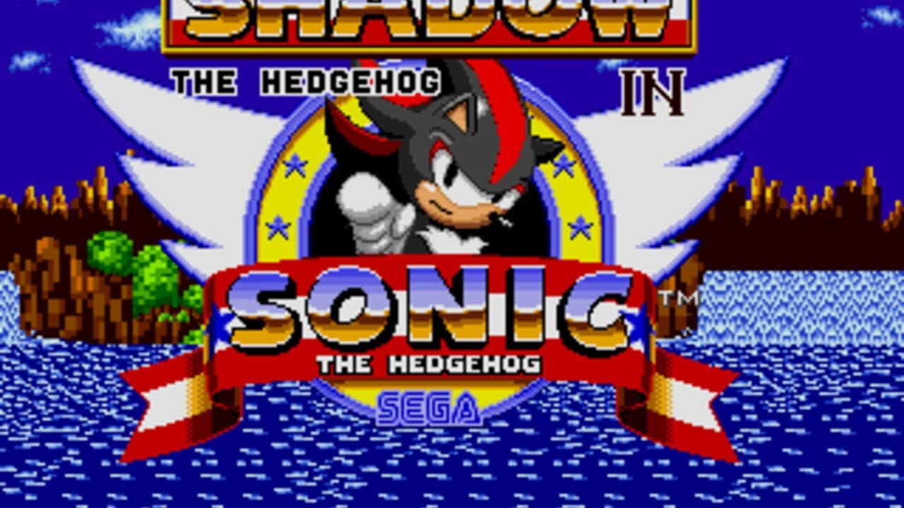 Shadow the Hedgehog in Sonic the Hedgehog screenshot 1