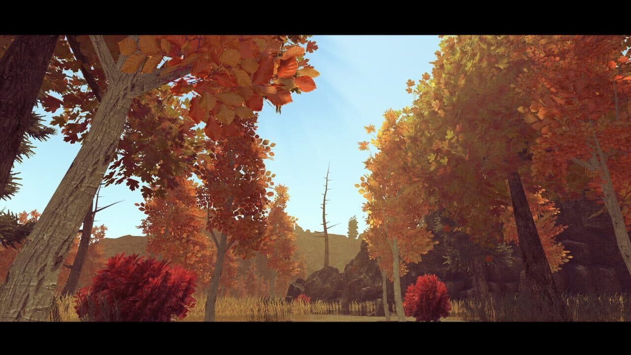 This is Forever thumbnail 3