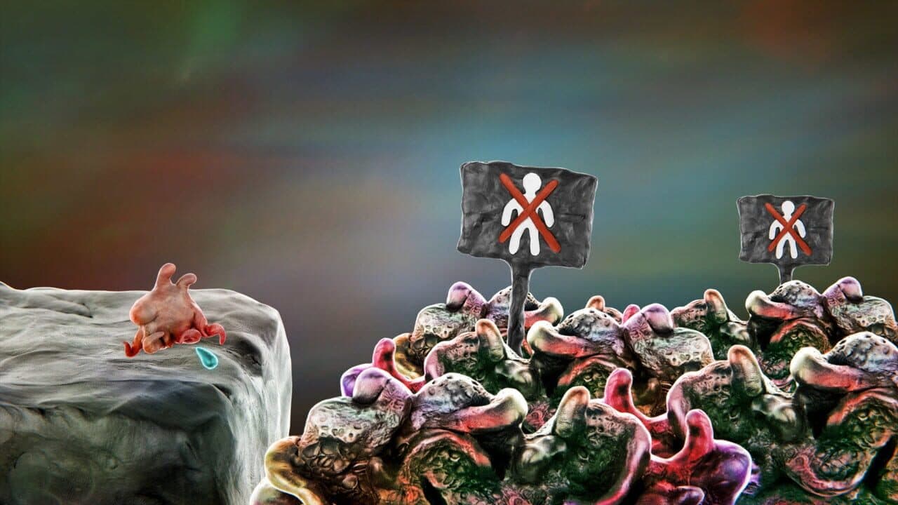 Visceratum thumbnail 5