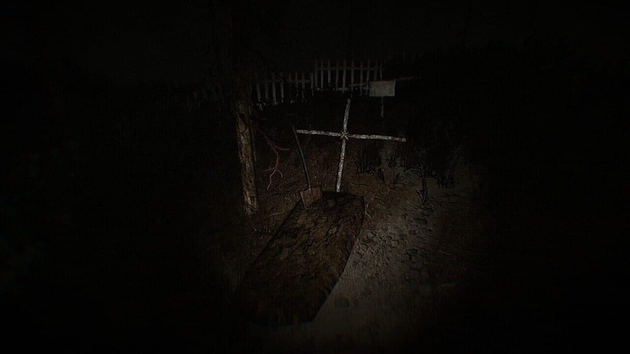 Concealment thumbnail 4
