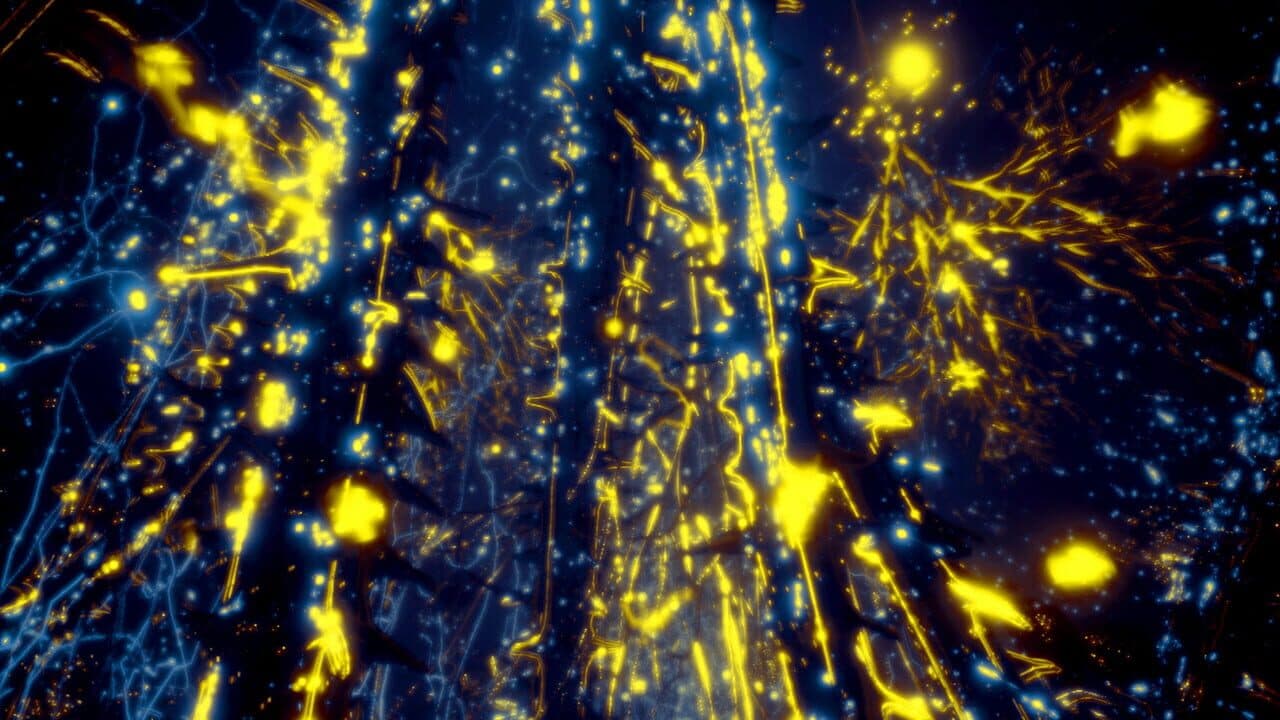 Secrets of Soil thumbnail 6