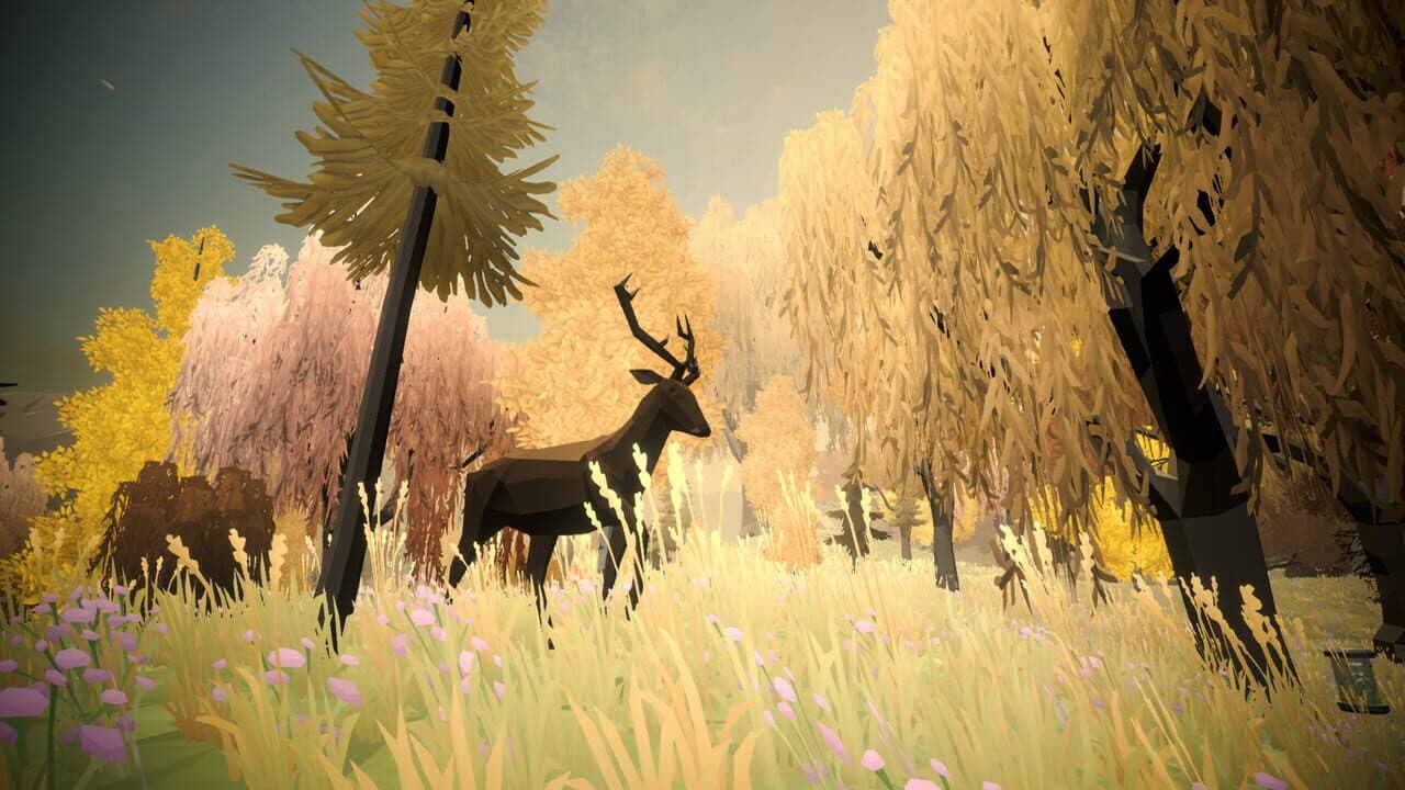 Unlocked thumbnail 7