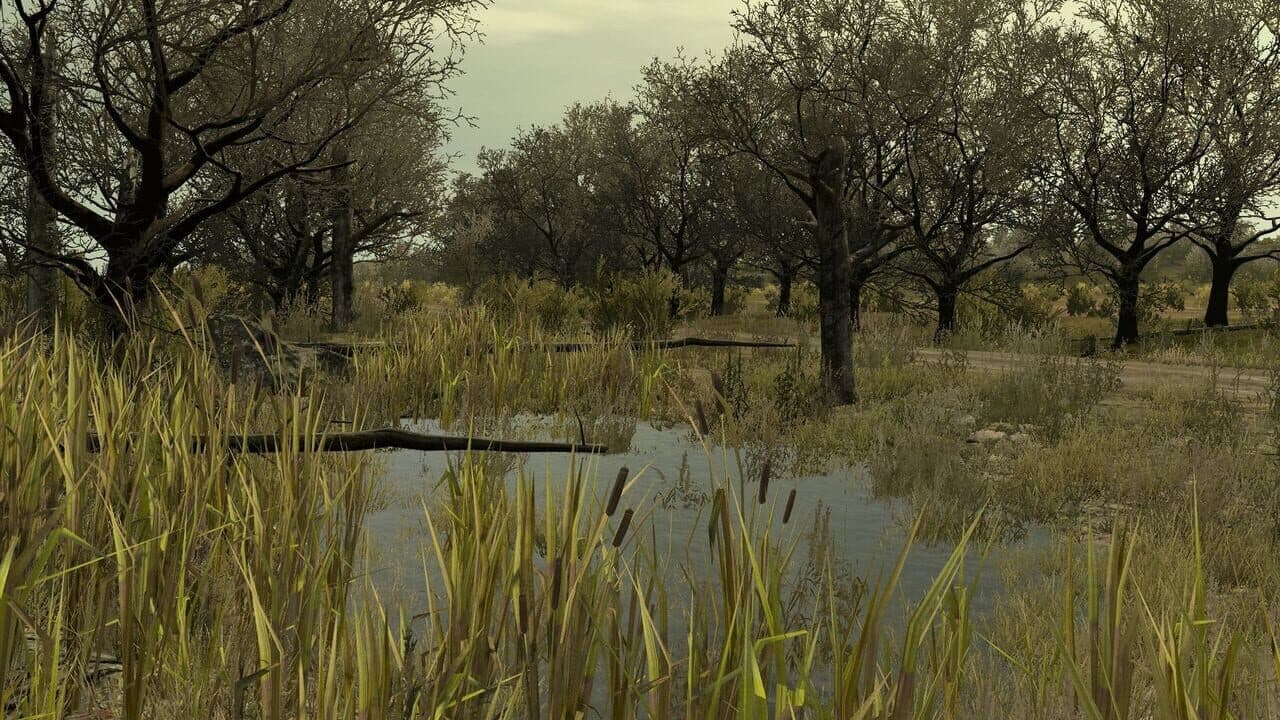 Arma 2: Private Military Company thumbnail 27