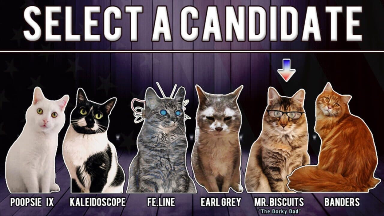 Cat President 2: Purrlitical Revolution thumbnail 7