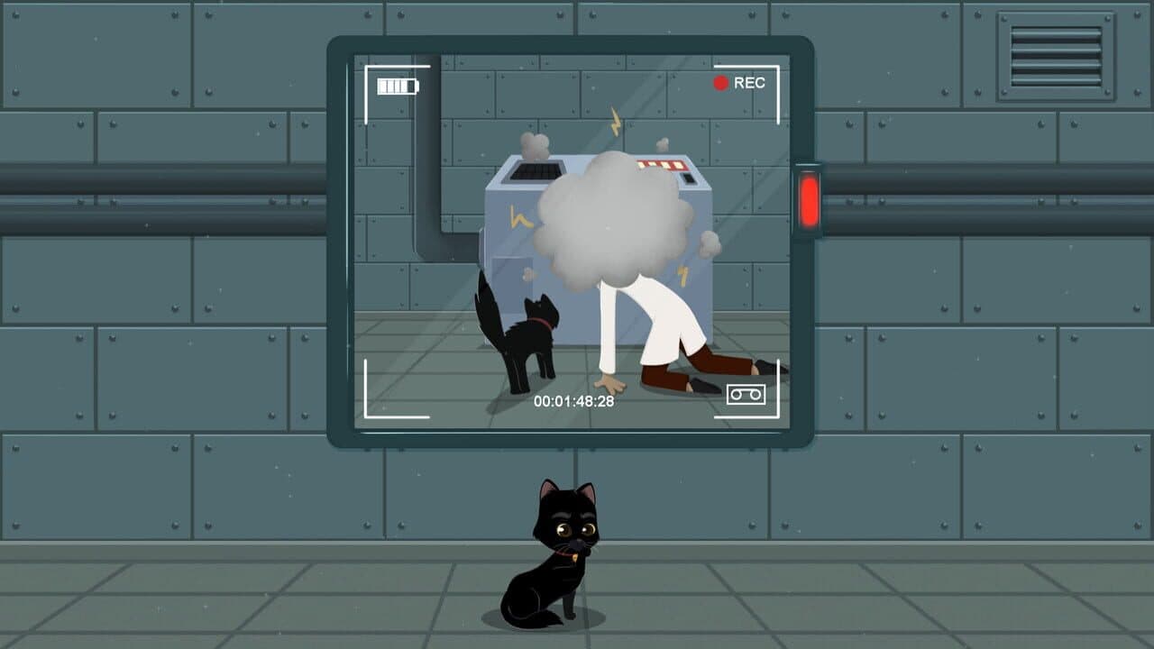 Meow Lab thumbnail 6