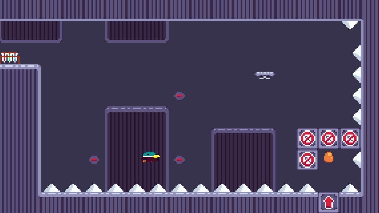 Anatidae thumbnail 5