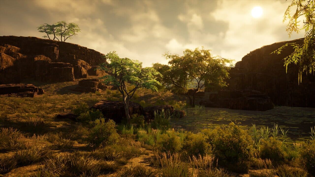 Straya thumbnail 9