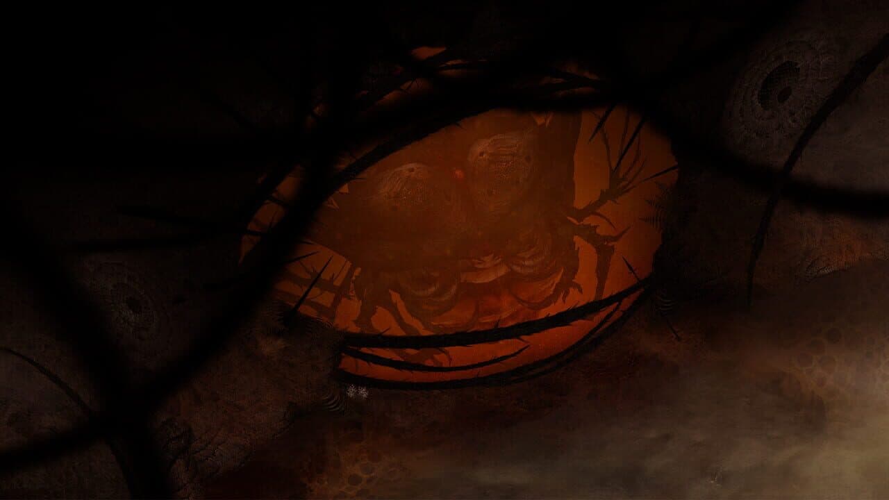 Perennial Order thumbnail 2