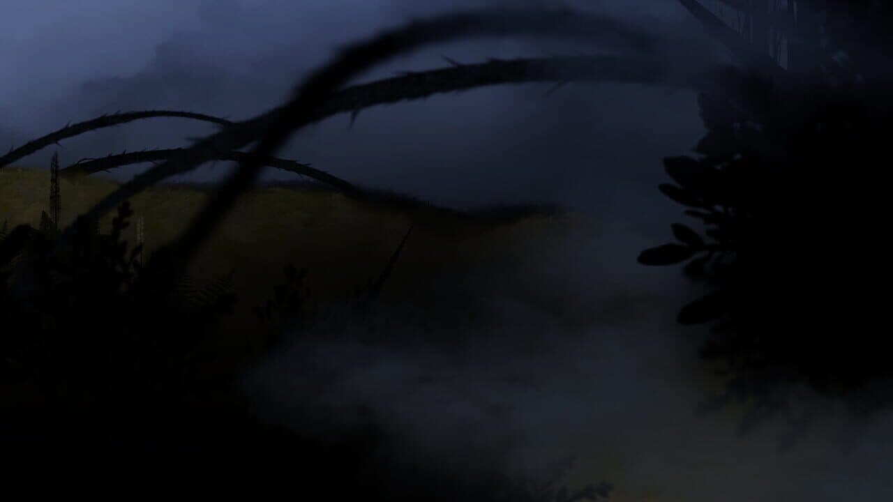 Perennial Order thumbnail 5