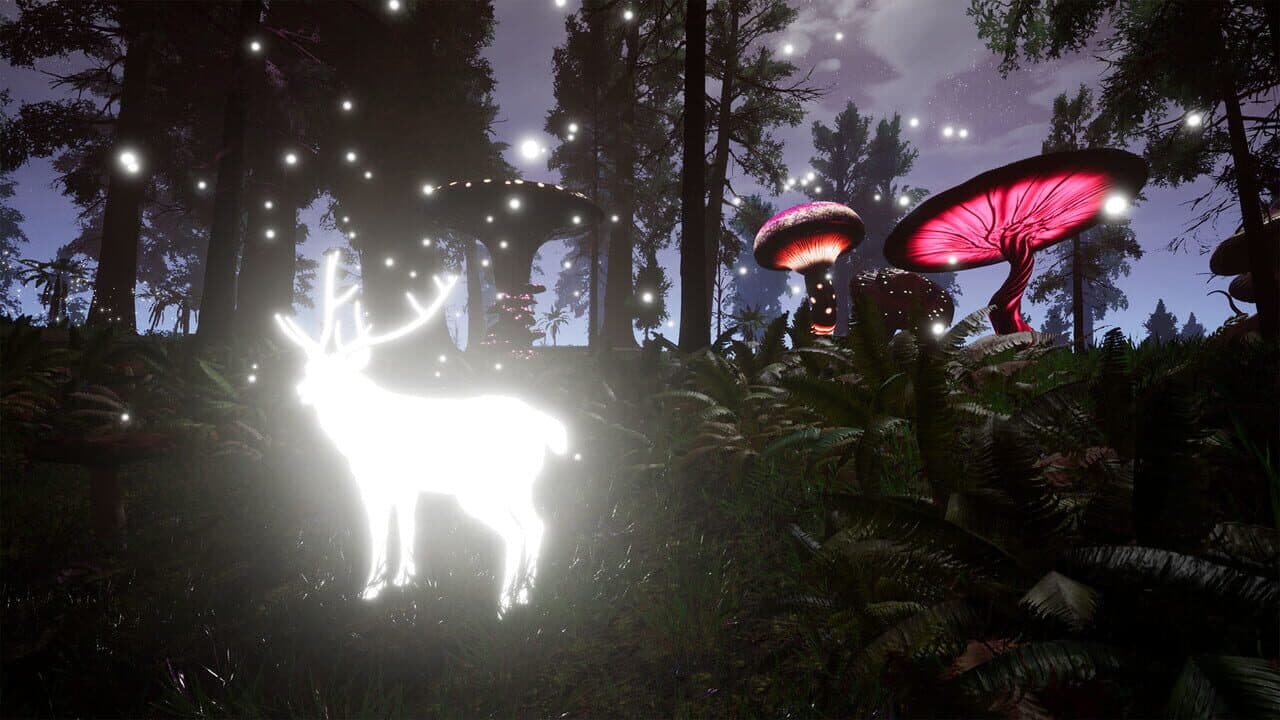 Lucid Cycle thumbnail 8