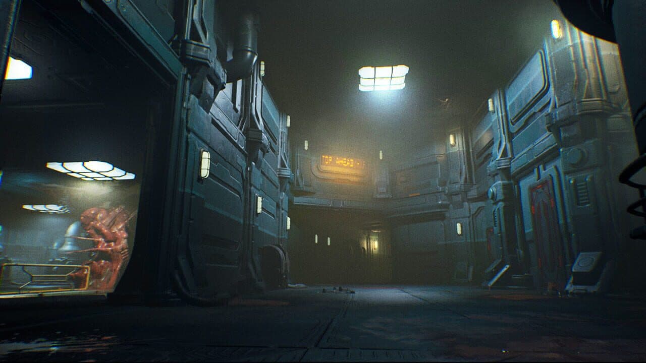 Ripout thumbnail 9