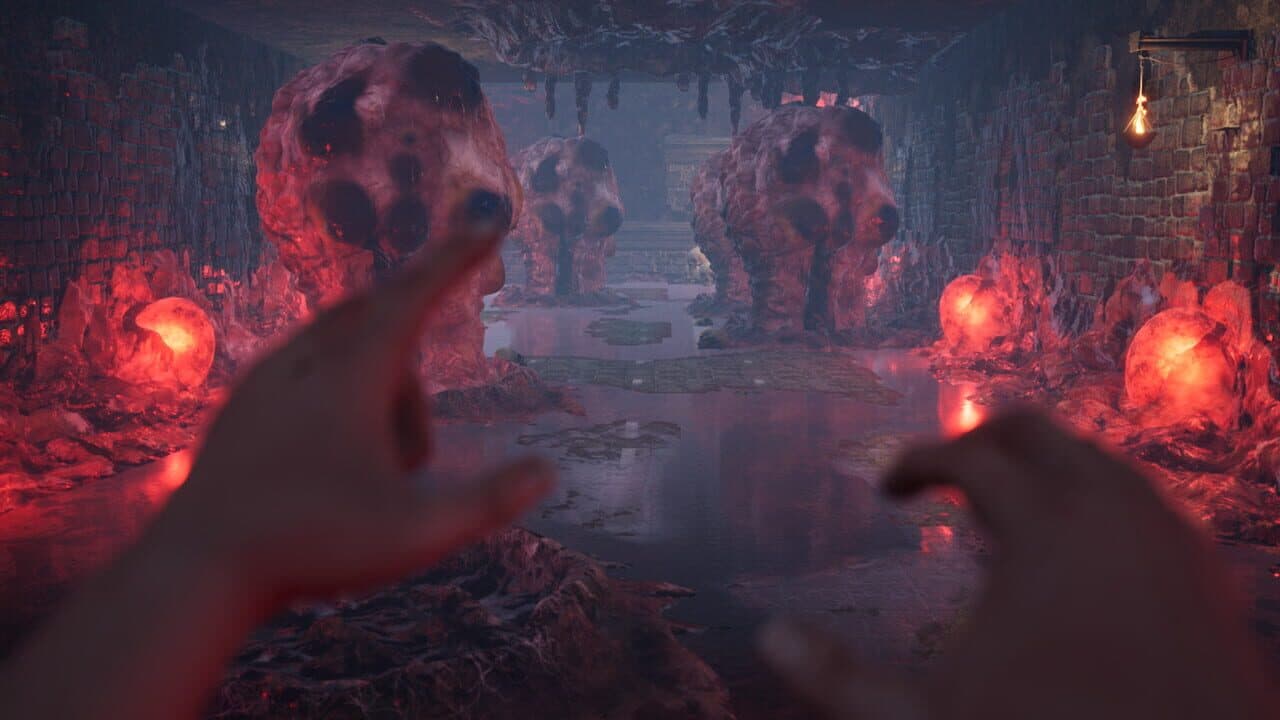 Shadow Dreams: The Last Thought of Hope screenshot 1