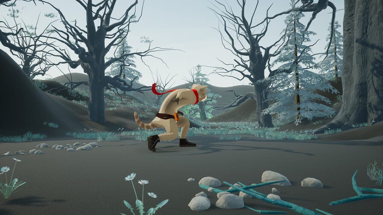 Raccoon Arrival thumbnail 2