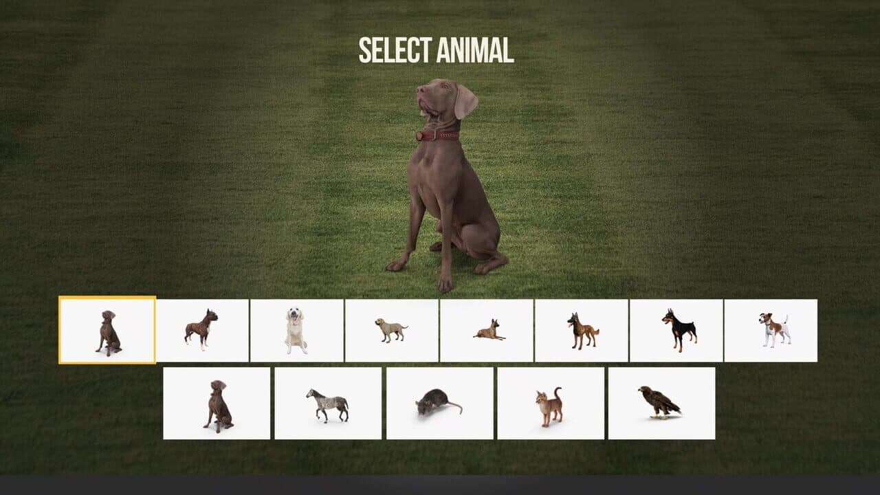 Animal Trainer thumbnail 2