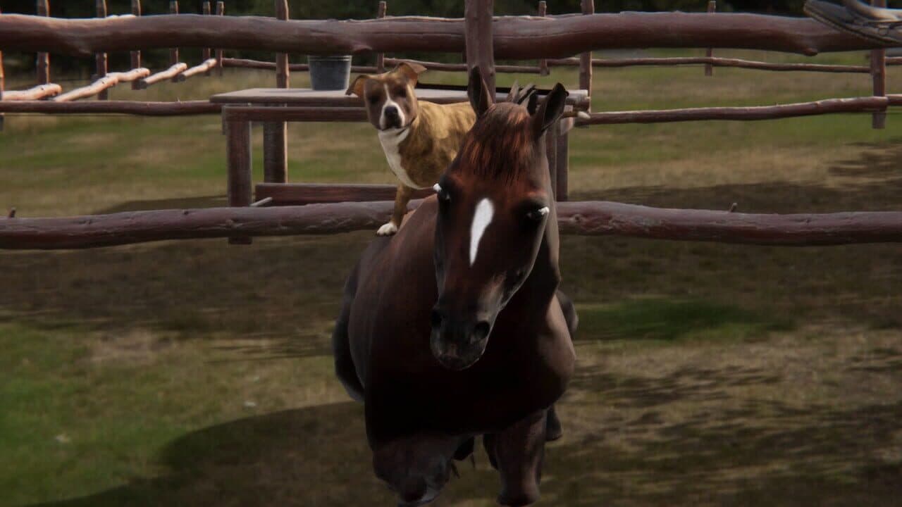 Animal Trainer thumbnail 7