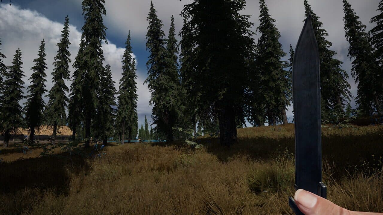Two Coins thumbnail 4