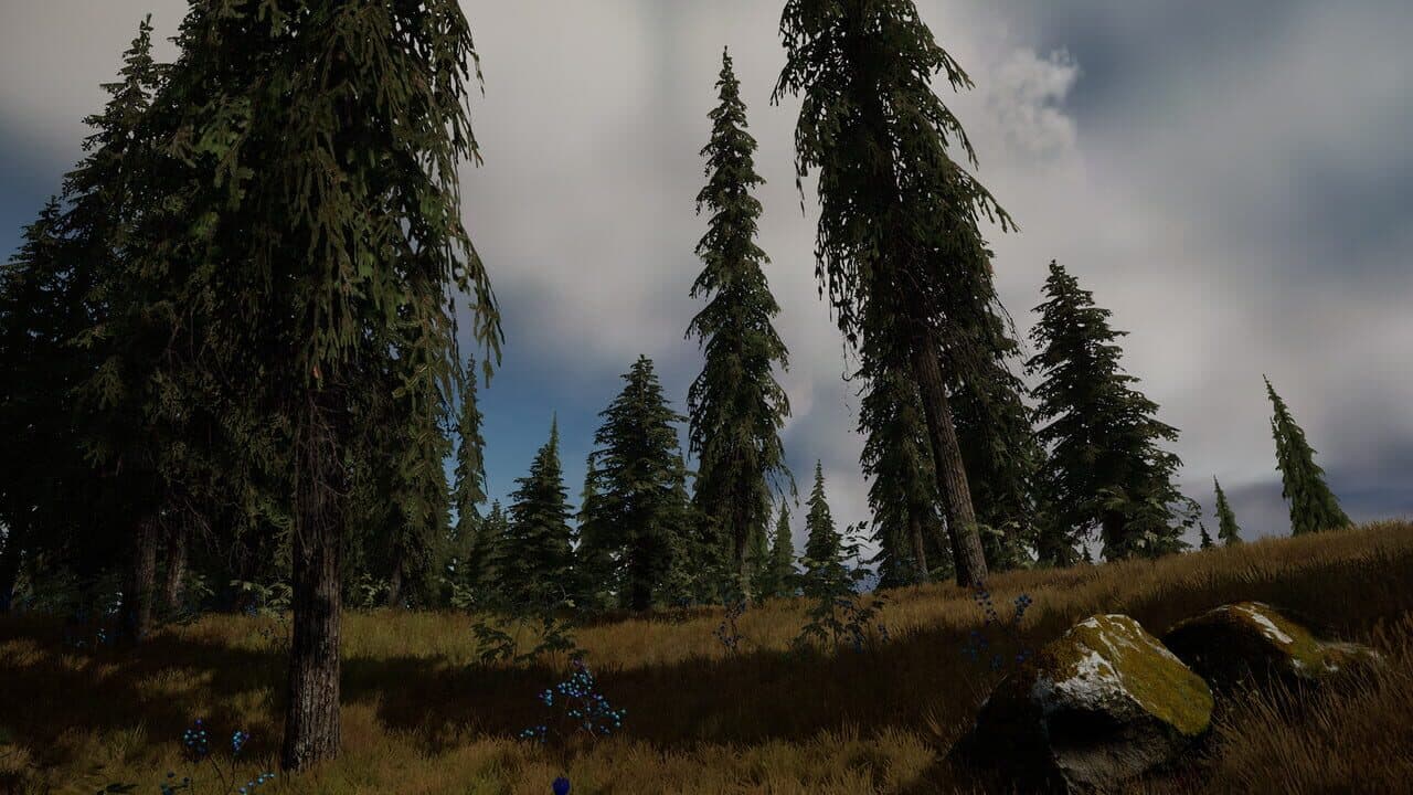 Two Coins thumbnail 11