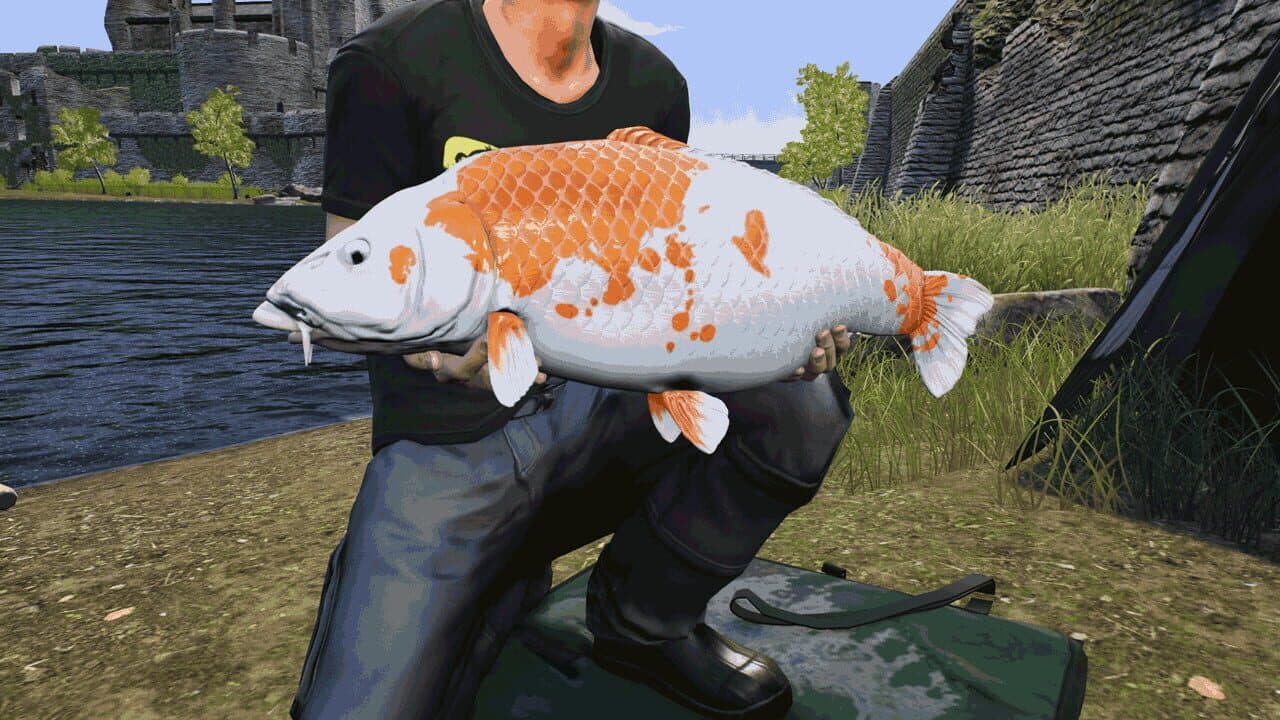 Euro Fishing: The Moat thumbnail 9