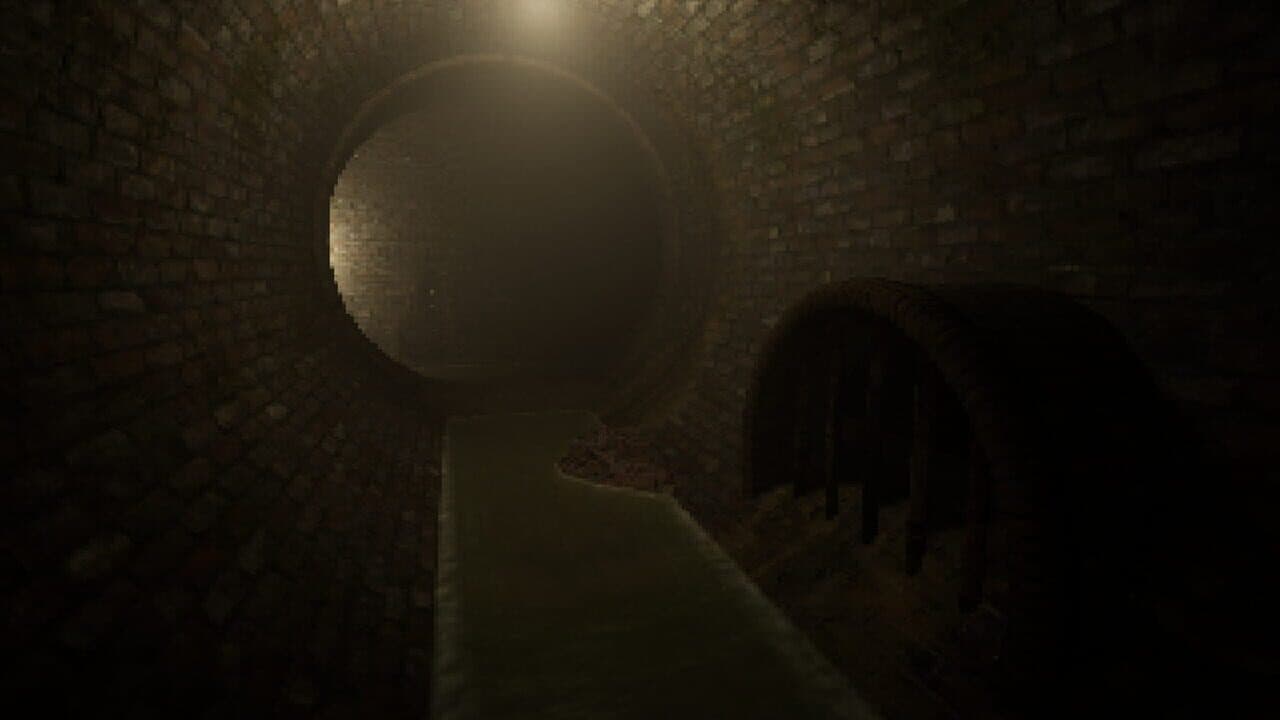 The Door in the Basement thumbnail 10