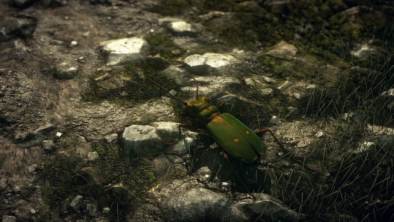 Insect Worlds thumbnail 3