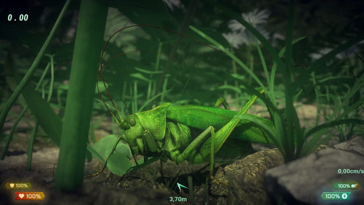 Insect Worlds thumbnail 4