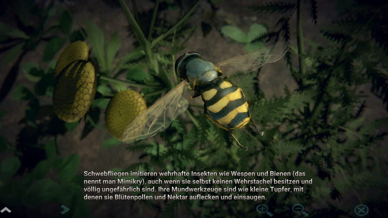 Insect Worlds thumbnail 5