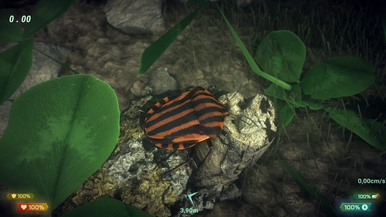 Insect Worlds thumbnail 7