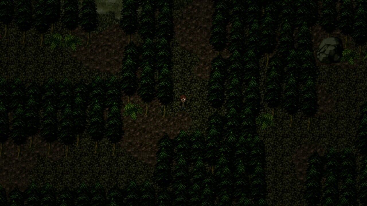 The Visitor thumbnail 2
