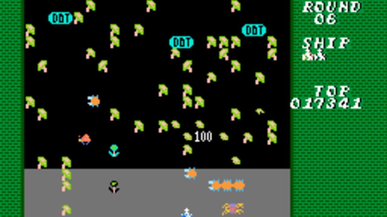 Millipede thumbnail 7