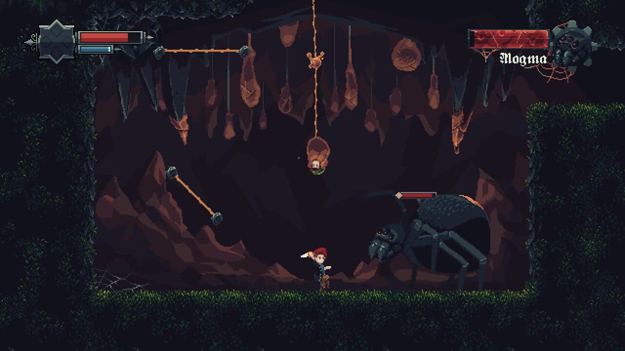 Insignia thumbnail 6