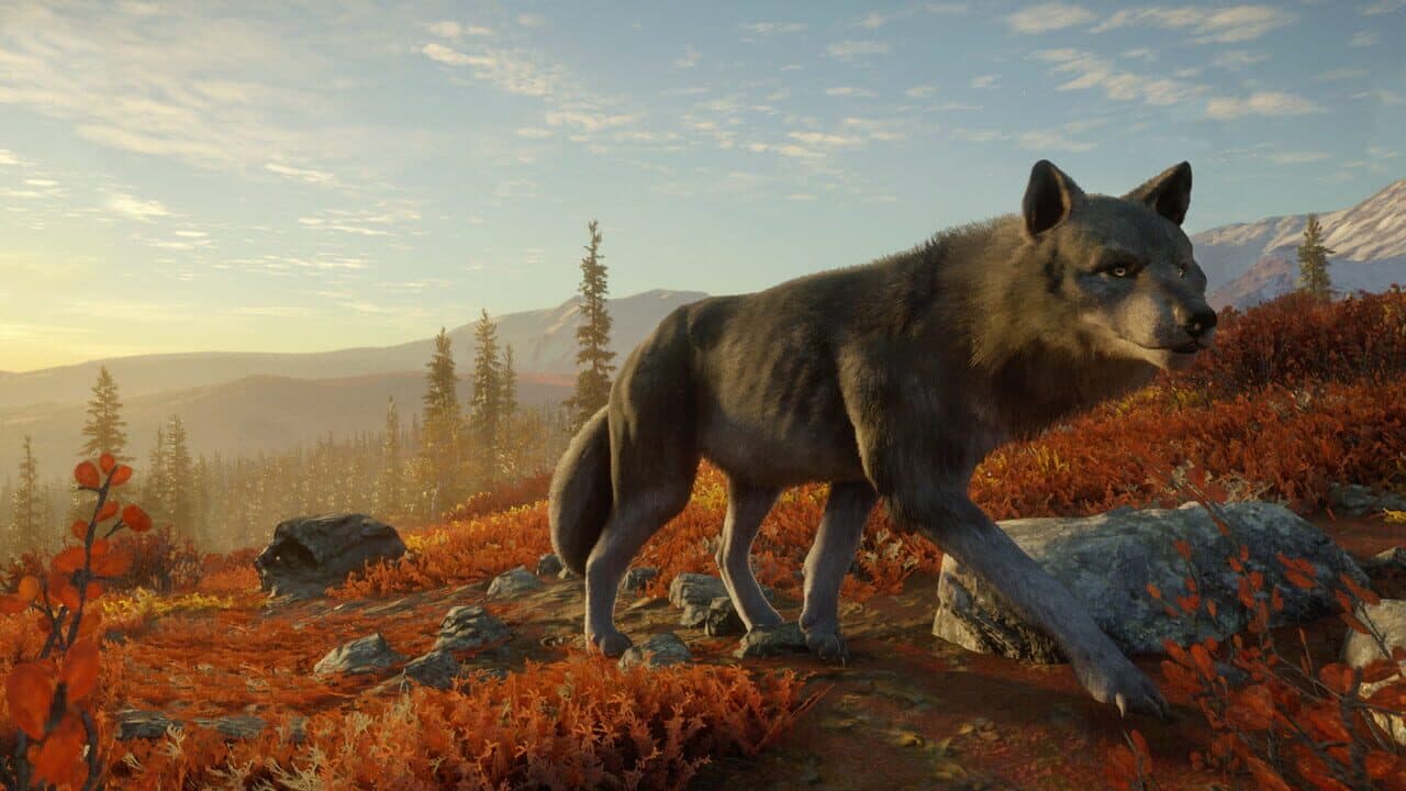TheHunter: Call of the Wild - Yukon Valley thumbnail 6