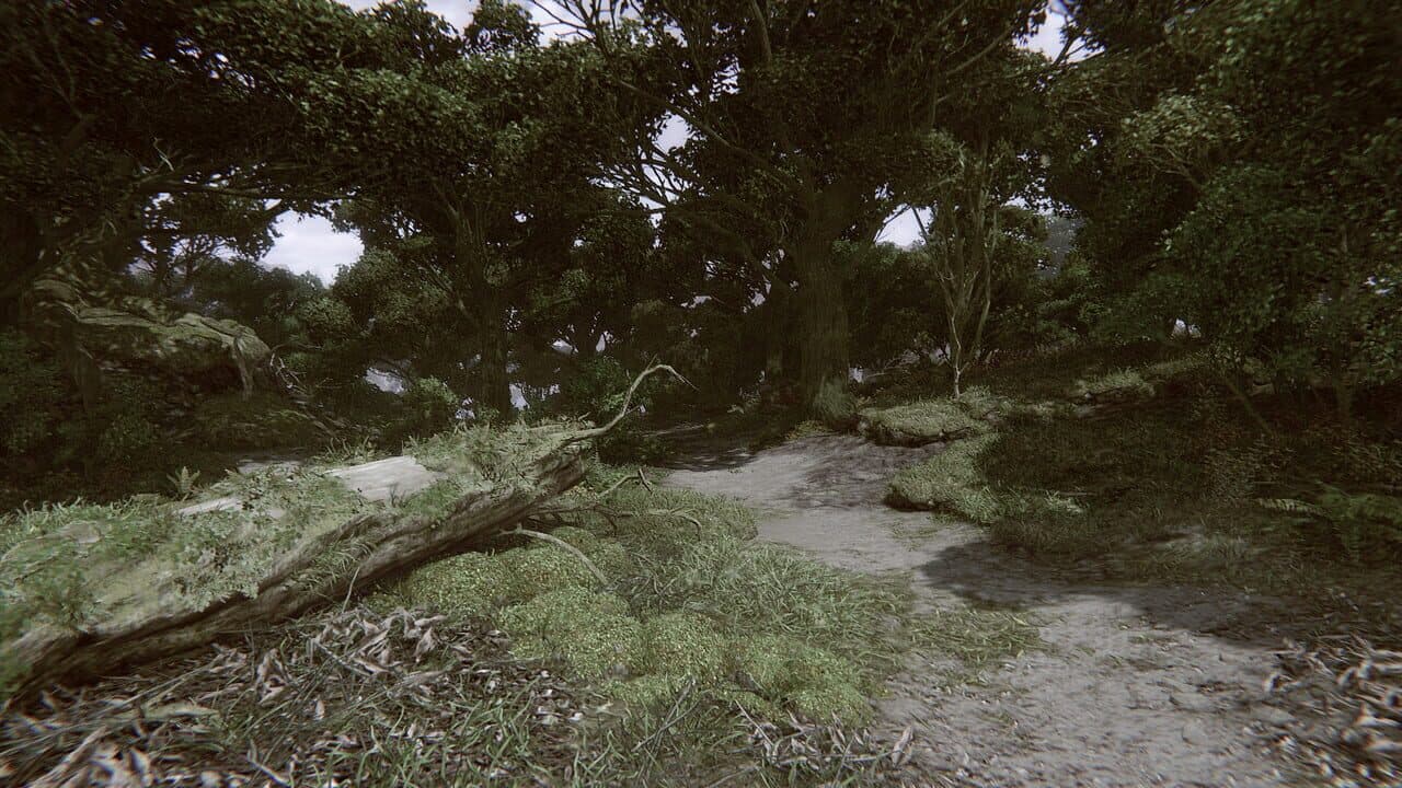Remote Knights Online thumbnail 38