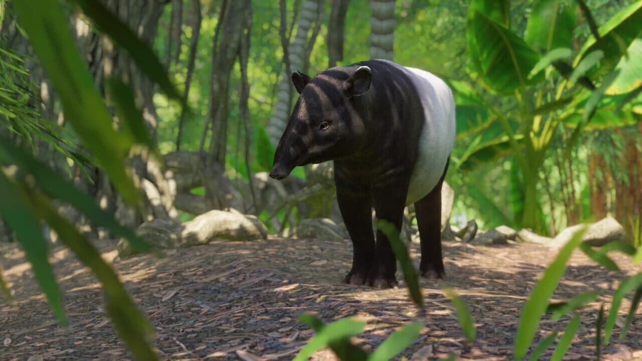 Planet Zoo: Southeast Asia Animal Pack thumbnail 3