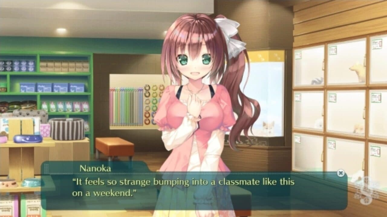 Study Steady screenshot 1