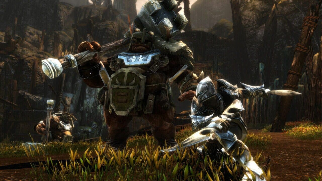 Kingdoms of Amalur: Re-Reckoning - Fate Edition thumbnail 4