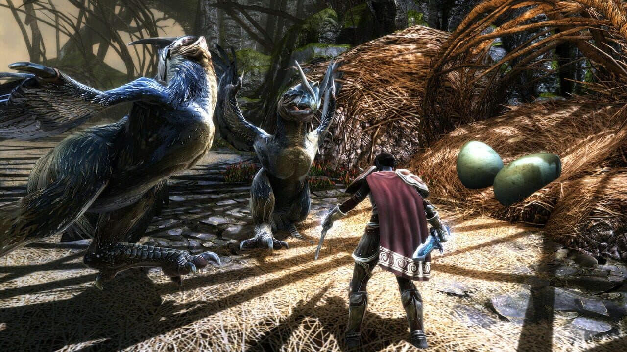Kingdoms of Amalur: Re-Reckoning - Fate Edition thumbnail 6