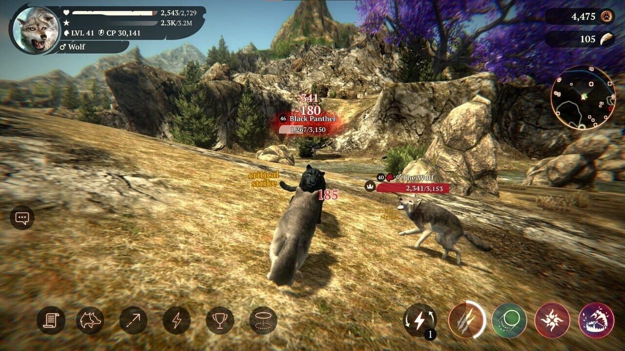The Wolf thumbnail 3