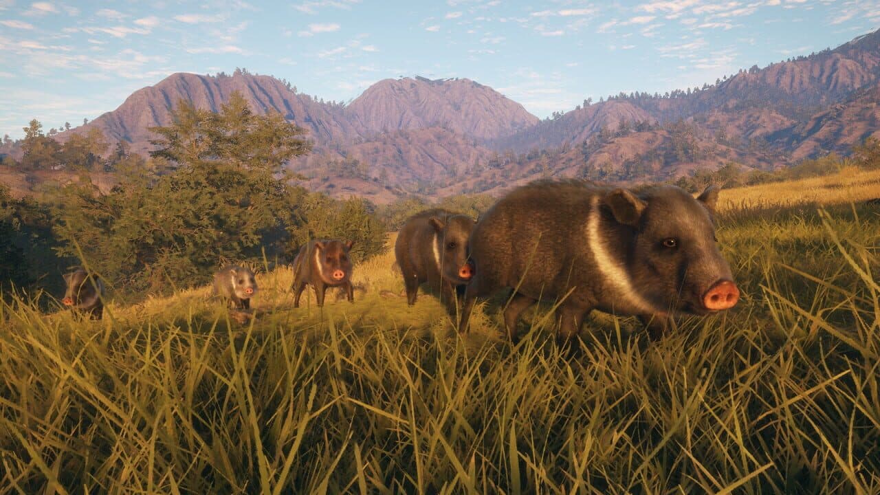 TheHunter: Call of the Wild - Rancho del Arroyo thumbnail 4