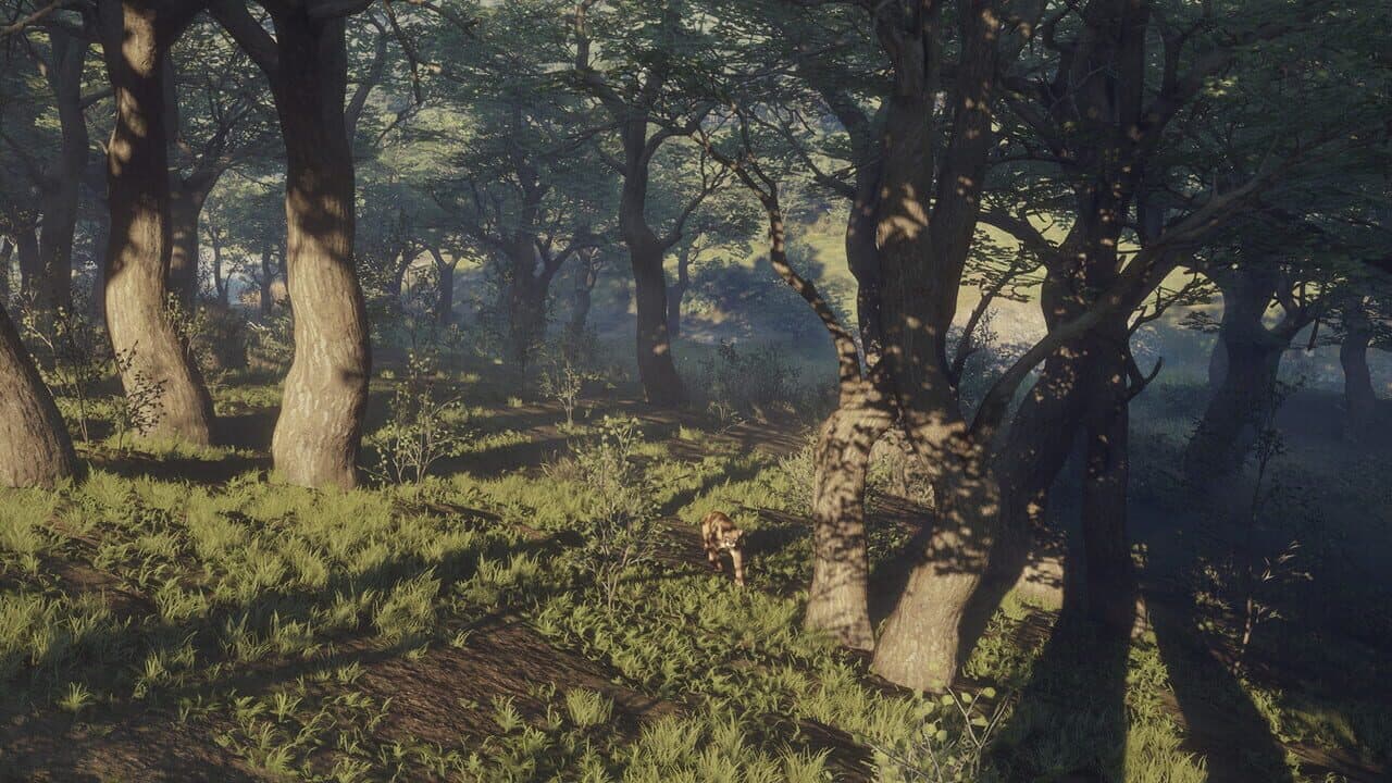 TheHunter: Call of the Wild - Parque Fernando thumbnail 6