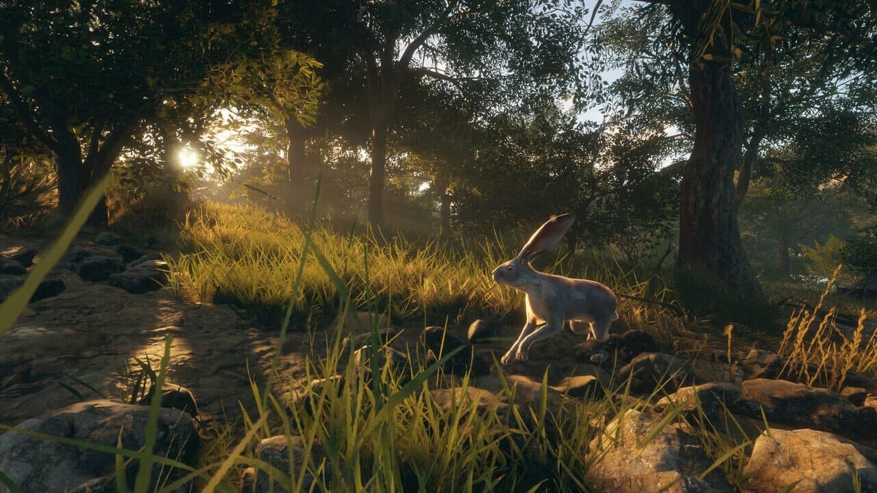TheHunter: Call of the Wild - Rancho del Arroyo thumbnail 7