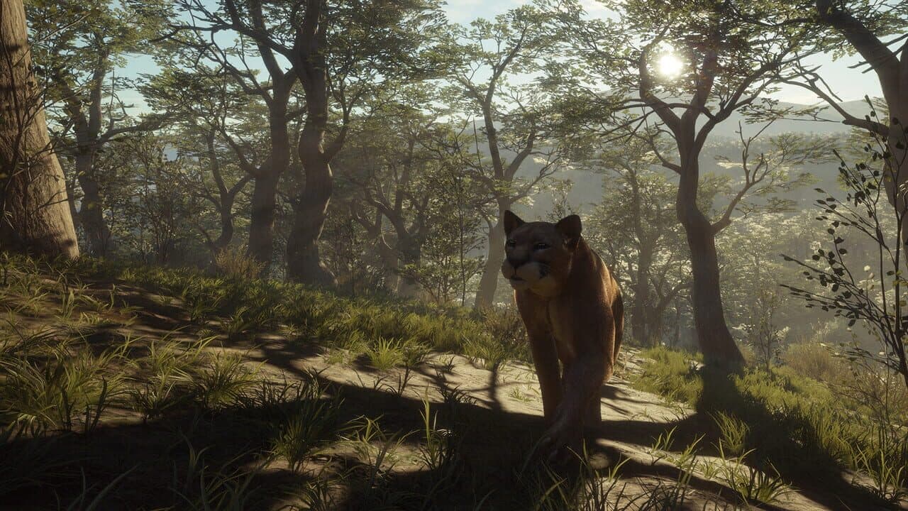 TheHunter: Call of the Wild - Parque Fernando thumbnail 7