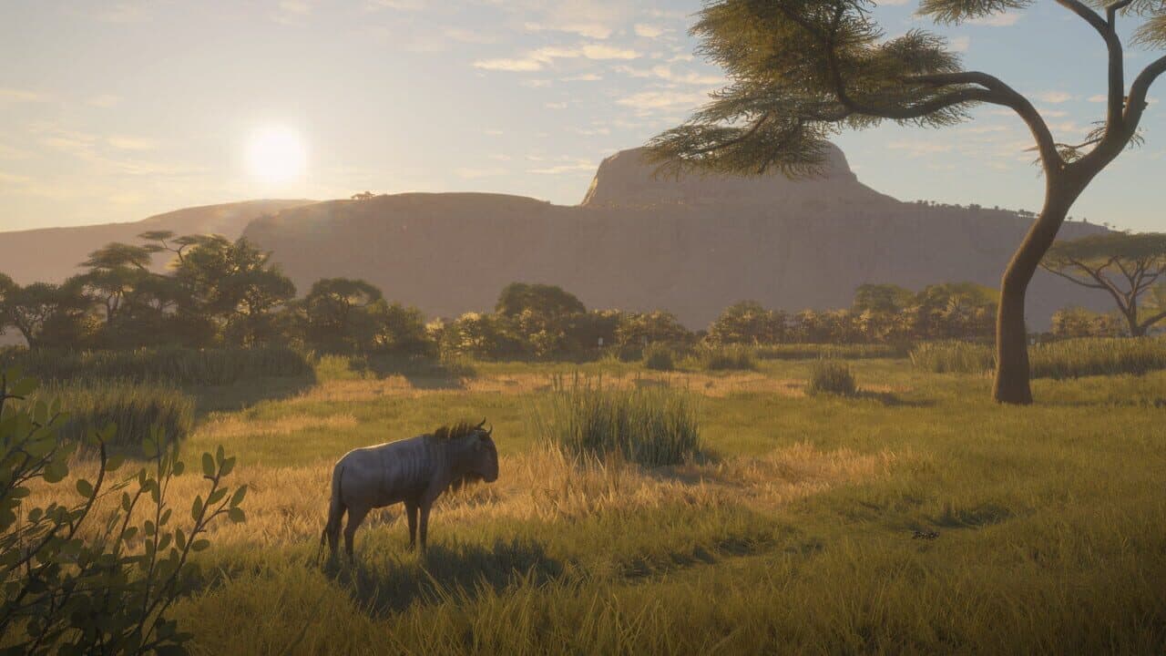 TheHunter: Call of the Wild - Vurhonga Savanna thumbnail 8
