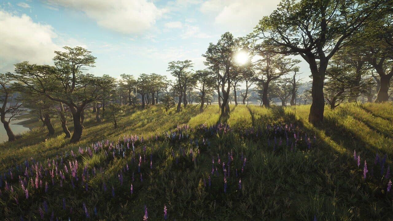 TheHunter: Call of the Wild - Parque Fernando thumbnail 8