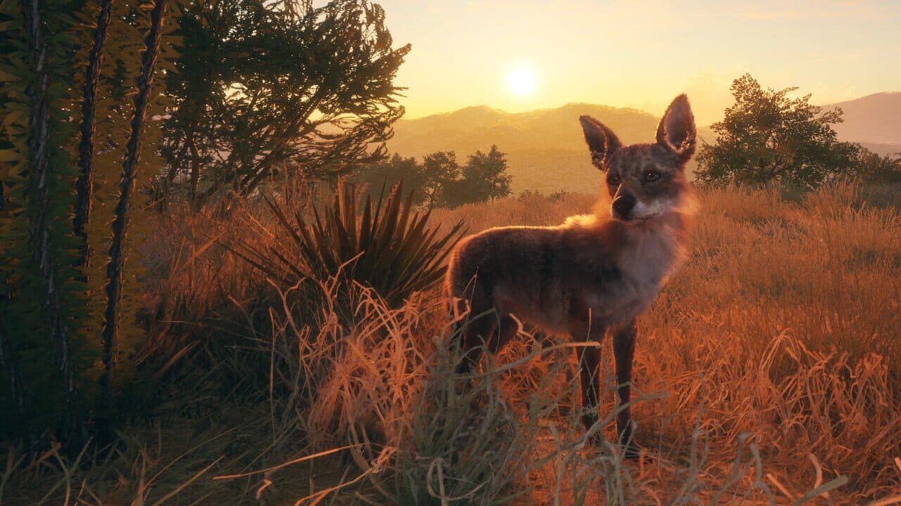 TheHunter: Call of the Wild - Rancho del Arroyo thumbnail 9