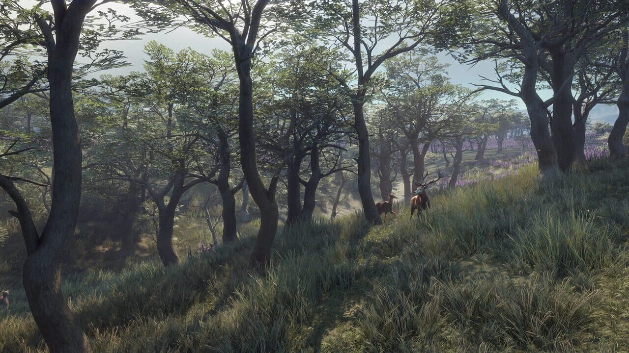 TheHunter: Call of the Wild - Parque Fernando thumbnail 9