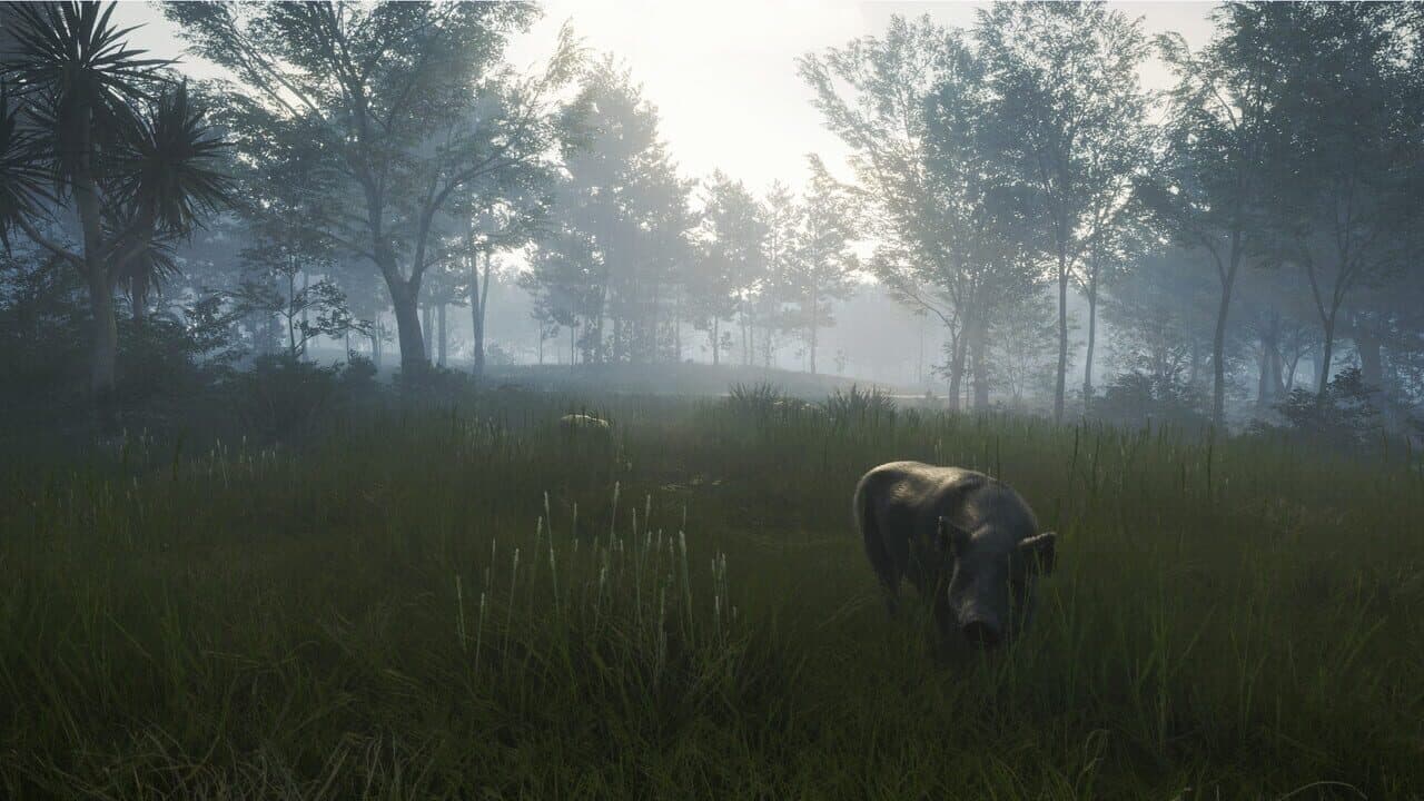TheHunter: Call of the Wild - Te Awaroa National Park thumbnail 10